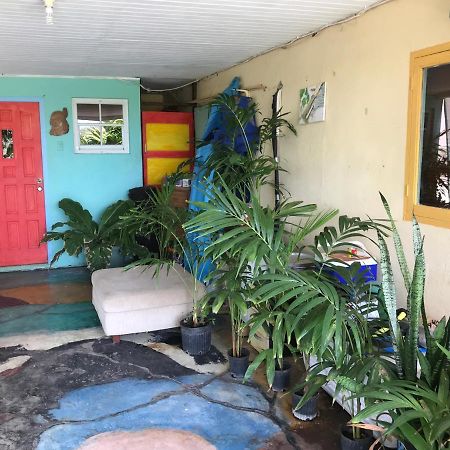 Ferienwohnung Magical Garden Savaneta Exterior foto