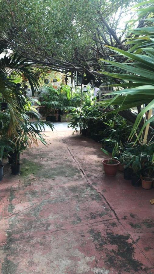Ferienwohnung Magical Garden Savaneta Exterior foto